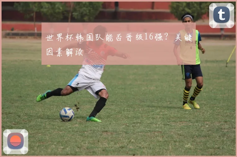 世界杯韩国队能否晋级16强？关键因素解读
