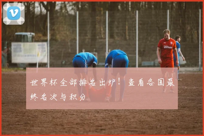 世界杯全部排名出炉！查看各国最终名次与积分