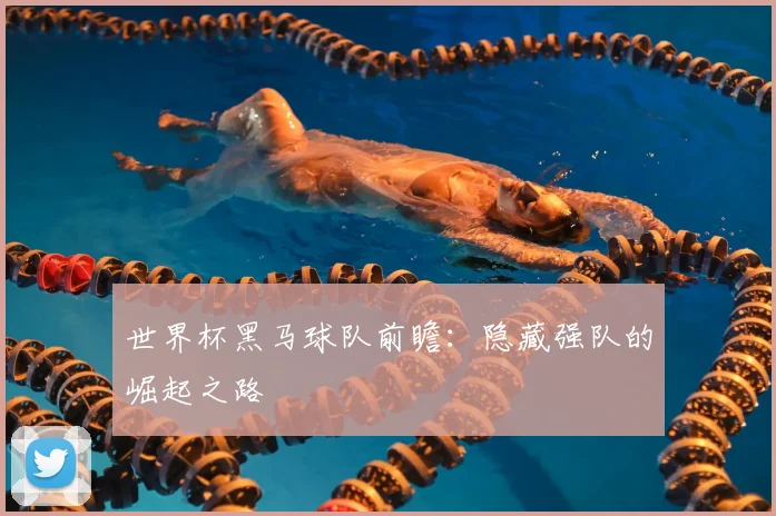 世界杯黑马球队前瞻:隐藏强队的崛起之路
