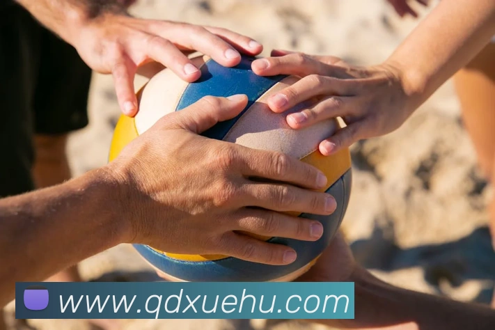 kb体育官方在线平台生态图