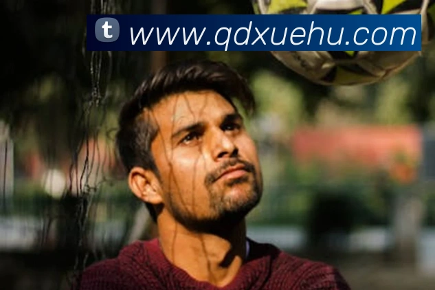 kb体育官方在线全站App